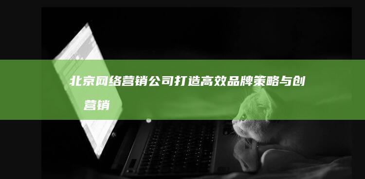 北京网络营销公司：打造高效品牌策略与创意营销解决方案